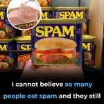 What is spam and what is it made of?