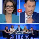 Jessica Tarlov Sparks Backlash with Controversial Remark to Veteran Co-Host Joey Jones