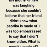 MY MOTHER-IN-LAW’S LAUGHTER UNCOVERED A SECRET I NEVER SAW COMING