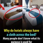 Why Do Hotels Always Have a Cloth Across the Bed? Many People Don’t Know Its Purpose
