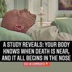 A Study Reveals: Your Body Knows When Death Is Near, And It All Begins In The Nose
