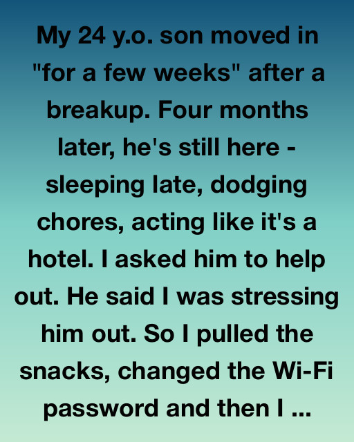When My Son Moved Back Home, I Didn’t Expect This