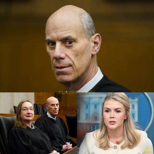 Federal Judge Halts Sweeping Plan That Could Reshape America’s Education System