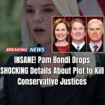 DOJ Releases Details Of ‘Transgender’ Plot To Assassinate Supreme Court Justices