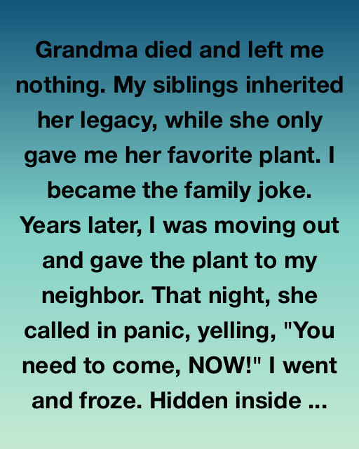 The Plant Grandma Left Me