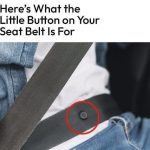 So THAT’s What That Little Button on Your Seatbelt Is For!