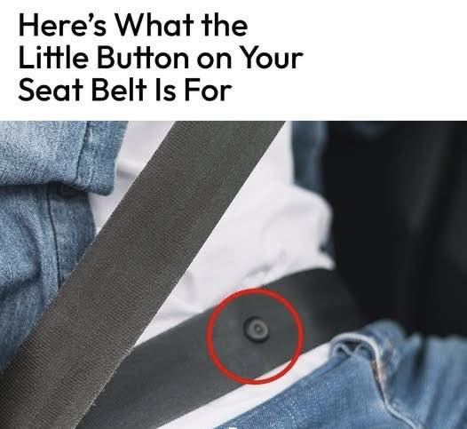 So THAT’s What That Little Button on Your Seatbelt Is For!