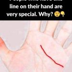 Understanding the Key Lines in Palmistry