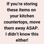 The 10 Things You Should Never Store on Your Kitchen Countertops — And Why Most People Still Do It