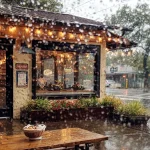 They Forced Me & my Baby Granddaughter Out of the Café and Into the Rain – Then Justice Walked In