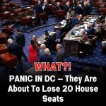 WHAT?! Panic in DC as Leaders Brace for Loss of 20 House Seats