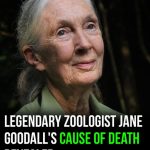 Legendary zoologist Jane Goodall’s cause of death revealed