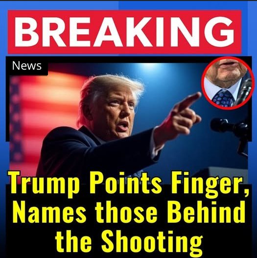 Revealing Who Funds and Trains Youth Movements