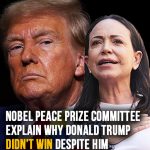 Nobel Peace Prize committee explain why Donald Trump didn’t win