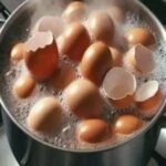 Don’t Toss Those Eggshells: 17 Ways to Reuse Them