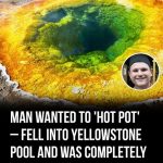 Man suffers horrific death after being ‘dissolved’ at Yellowstone – this will leave you terrified