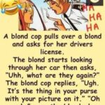 Are You Blonde?