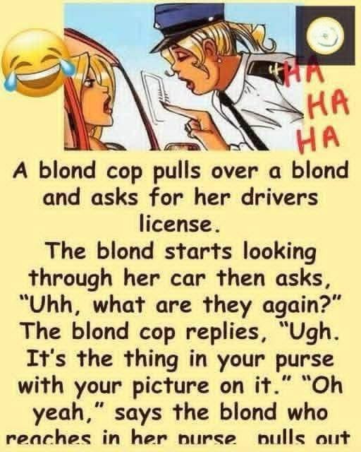 Are You Blonde?