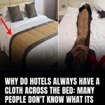Why Hotels Really Use That Strip Across the Bed