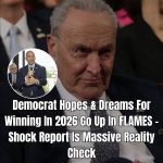 This Graphic Shows Why Democrats Are Panicking Ahead Of the 2026 Midterms