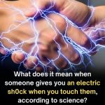 Why We Feel That Little Electric Sh0ck When We Touch Another Person—Science Explains