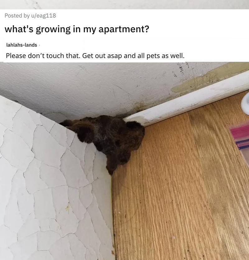 People Are Asking for Help in Identifying Strange Objects, and Some of Them Are Plain Weird