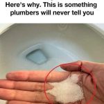 Why You Should Put Salt in Your Toilet — The Secret Plumbers Won’t Tell You
