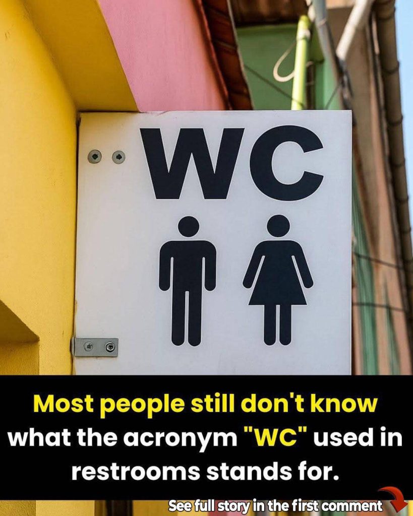People are only just realising what WC toilet sign actually stands for