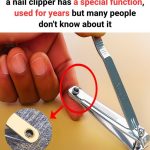 The Secret Purpose of the Tiny Hole on Your Nail Clipper