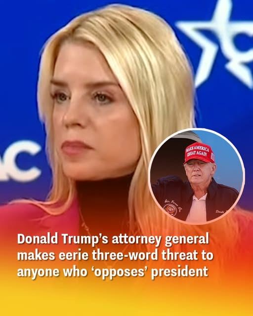 Watch as Pam Bondi confronts Adam Schiff during a hearing, drawing attention to his previous censure.