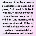 My Dad Kept My Mom’s Last Wish—But It Took an Unexpected Turn