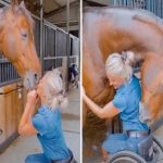 Young woman was hospitalized after being penetrated…See more