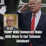 DEMOCRATS FEEL THE HEAT AS SHUTDOWN DRAGS ON