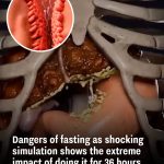 Dangers of fasting as shocking simulation shows the extreme impact of doing it for 36 hours