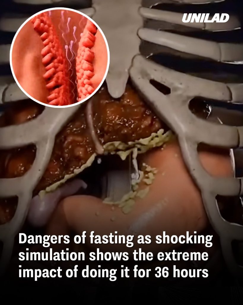 Dangers of fasting as shocking simulation shows the extreme impact of doing it for 36 hours