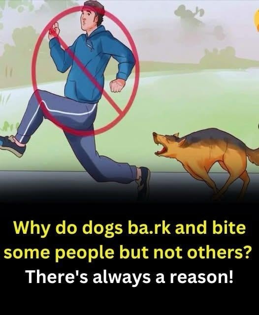 Why do dogs bark at some people but not others