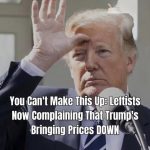 You Can’t Make This Up: Leftists Now Complaining That Trump’s Bringing Prices DOWN