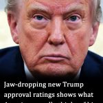 New Trump approval ratings shows what the Us really thinks of him