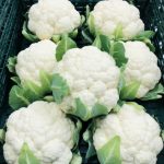 The Incredible Health Benefits of Cauliflower — Backed by Science